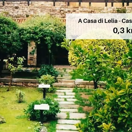 A Casa Di Lelia Apartment Muggia